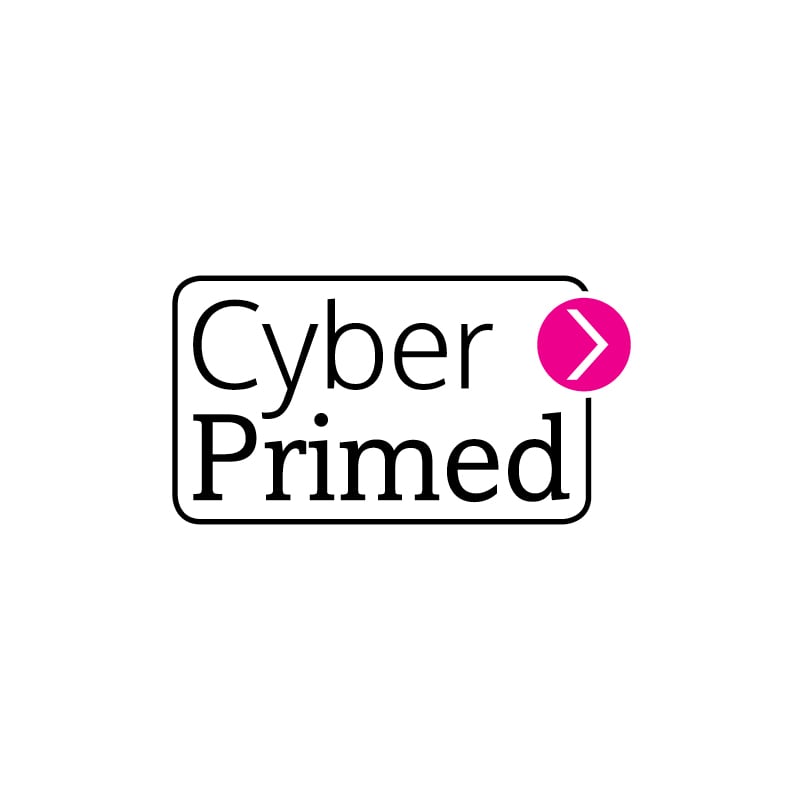 Cyber Primed
